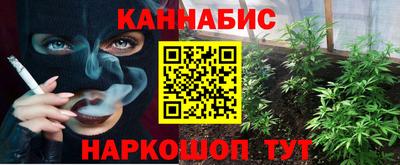 индика Пушкино
