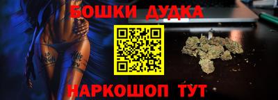индика Пушкино