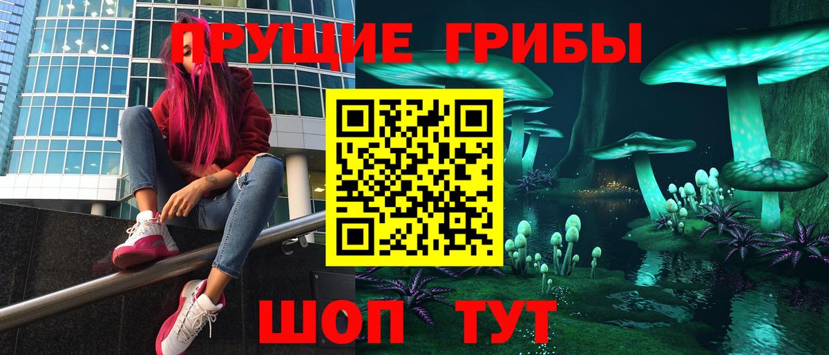 Сибай  Галлюциногенные грибы Psilocybe  Вход с VPN 